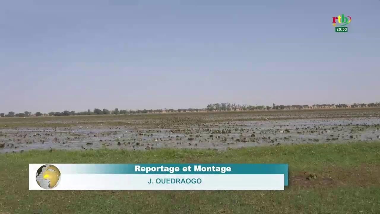 RTB - JT de 20H du 24 mars 2026