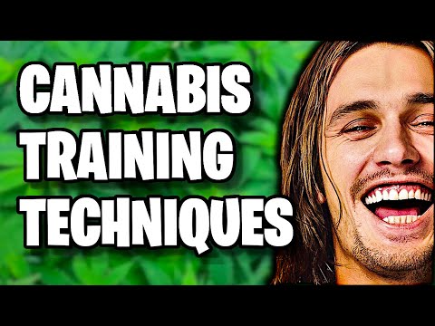 Topping, Fiming, Supercropping, LST, SOG, SCROG  | Cannabis Training Techniques