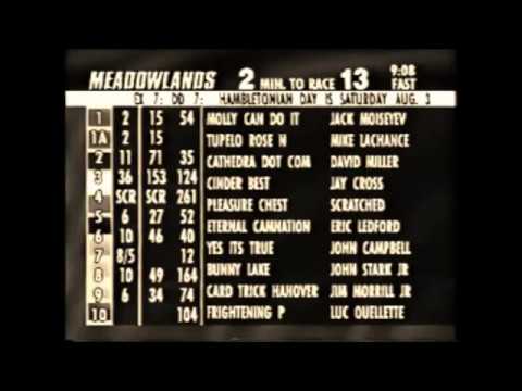 2002 Meadowlands Racetrack - Breeders Crown Aged Mare Pace Final Jack Moiseyev