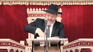 להבעיר את האש בעבודת השם | שיחת השבוע | הרב מיכאל מזוז (הרב דניאל זר) - התמונה מוצגת ישירות מתוך אתר האינטרנט יוטיוב. זכויות היוצרים בתמונה שייכות ליוצרה. קישור קרדיט למקור התוכן נמצא בתוך דף הסרטון