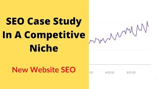 SEO Case Study In A Competitive Niche (NEW WEBSITE)
