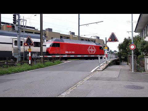 Railroad Crossing -  Interlaken (CH) - Bahnübergang Höheweg , Passage à niveau
