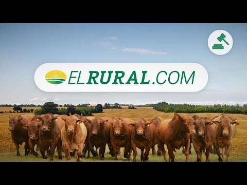 🔴 EN VIVO | 3° Remate Anual de Cabaña Isolet | "Angus de Produccion 2023" | 📍 Bell Ville, Cba 🔴