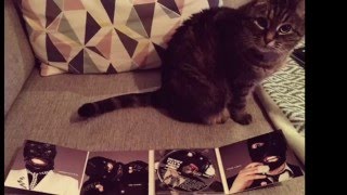 Henry Fiats open Sore - Bag in Box