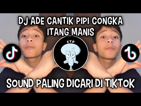 DJ ADE CANTIK PIPI CONGKA ITAM MANIS || NGAPAIN REPOT REMIX VIRAL DI TIKTOK‼️