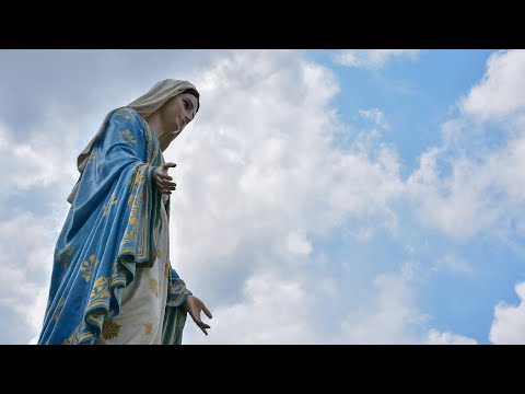 Niepokalana (z rep. Miriam i Przyjaciele) - Schola Dobry Pasterz