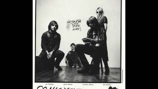 Sonic Youth - Cinderella&#39;s Big Score MFSL