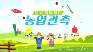 [농업관측] 4월 엽근채소, 양념채소