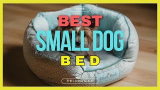 🔥 Best Dog Bed for Small Dogs in 2025  ☑️ TOP 5 ☑️