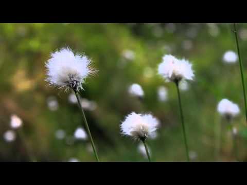 OST Sandglass - Yesterday's Tomorrow - Woo Suk's Theme (어제의 내일 - 우석의 Theme)