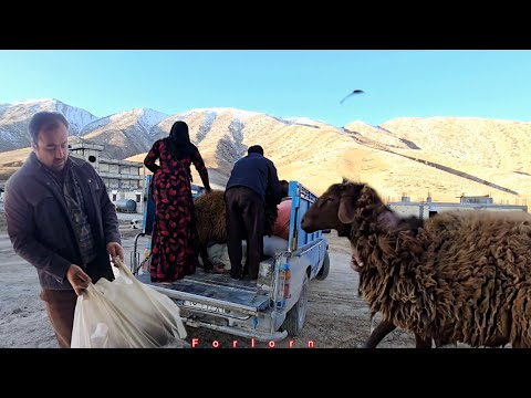 The love life of Khosrow and Sakineh: Khosrow's kindness and the exchange of a sheep!