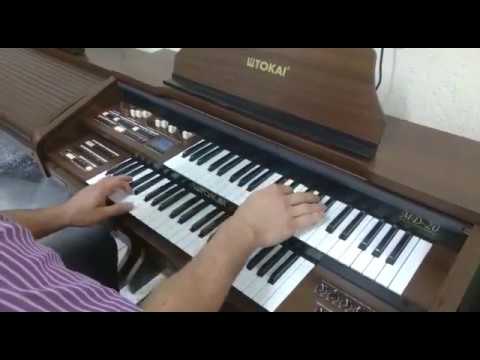 Órgão Eletrônico Tokai MD-20 - Loja Teclasom