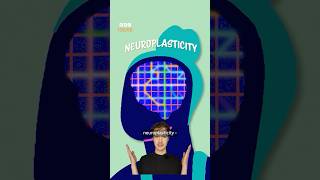 What would happen to your personality if you lost a part of your brain? | BBC Ideas