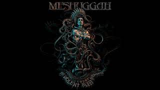 Meshuggah - Stifled Outro (extended)