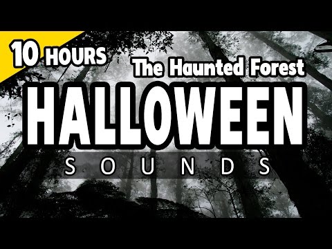 HALLOWEEN SOUNDS - the HAUNTED FOREST at night - Spooky ambiance HALLOWEEN - Campfire, Wolves, Owls