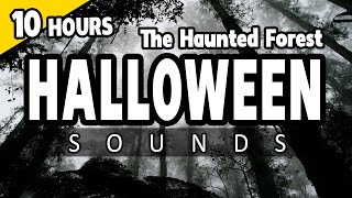 HALLOWEEN SOUNDS - the HAUNTED FOREST at night - Spooky ambiance HALLOWEEN - Campfire, Wolves, Owls
