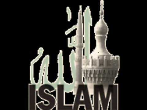 Irfan Salhiu ''Ndalimi i bashkimit me bura dhe gra''2