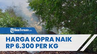 Mengintip Harga Rempah Ternate 17 September 2022, Kopra Naik Jadi Rp 6.300 per Kilogram