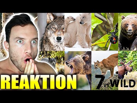 Die 10 tödlichsten Tiere bei 7 Vs. Wild Staffel 3 | Sagt Sascha Huber ab?