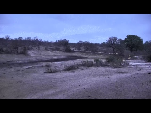 Djuma Private Game Reserve Live Stream