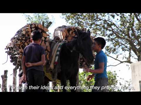 Empowering Indigenous Youth for a Healthy Future