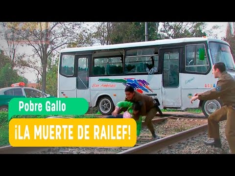 Pobre Gallo - La muerte de Railef / Mega