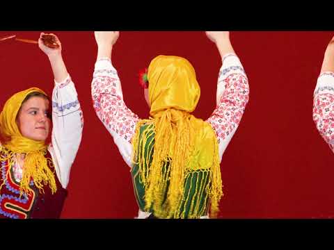 Nova College Dans | 'Varna'