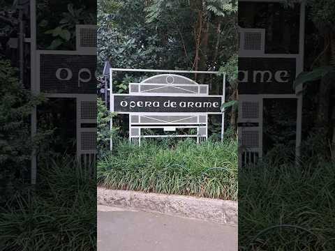 Ópera de Arame #curitiba #paraná #brasil #música #music #arquitetura #archtecture #floresta #forest