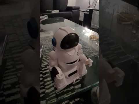 Review of the Smart Remote Control Robot