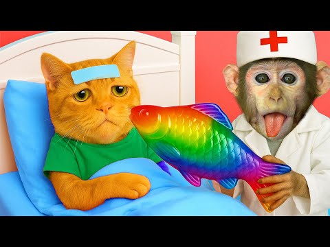 Doctor KoKo Monkey Cures The Picky Eating Of The Golden Cat With Special Colored Fish! | KOKO MONKEY