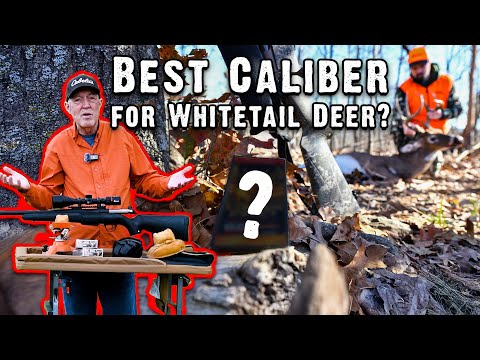 The Best Caliber for Whitetail Deer Hunting?