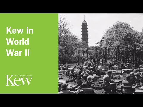 The Story of Kew Gardens in Photographs: Kew in World War II