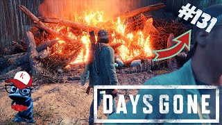 DAYS GONE #131 - GIGANTO NO ACAMPAMENTO DOS SAQUEADORES | GAMEPLAY | [ PS4 ]