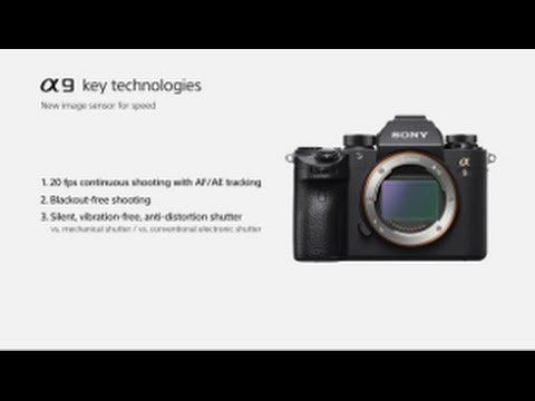 Sony | α9 | New image sensor - 35mm full-frame stacked CMOS sensor with integral memory