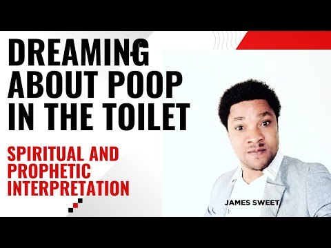 Dreaming About Poop in the Toilet: Spiritual and Prophetic Interpretation