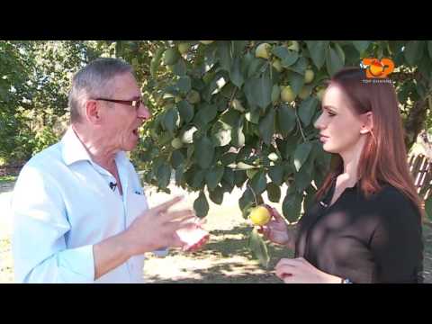 Ne Shtepine Tone, 13 Tetor 2016, Pjesa 2 - Top Channel Albania - Entertainment Show