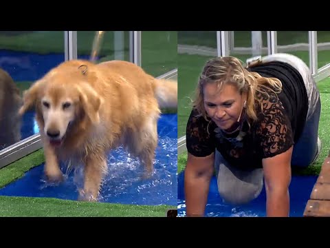 Dog Special - The owner walked the same path as her pet and had to get into the water