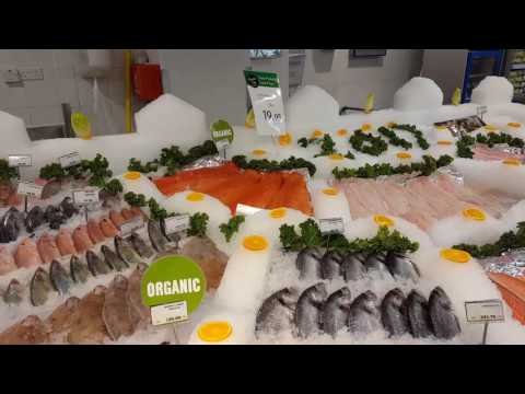 Exposição de peixes em Abu Dhabi