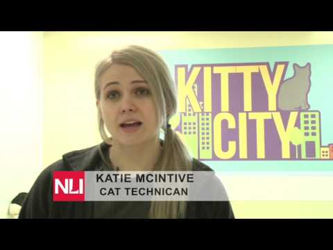 NewsLink Indiana - February 1st, 2017