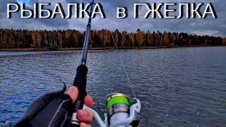 Быковский пруд раменский район рыбалка