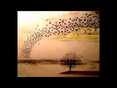 G E N E S I S  - S E R E N I T Y - M I X by Prog Rock Dock