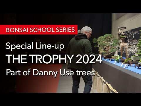 The special Line-up of Danny Use´s Bonsai at the Trophy 2024 - 4K