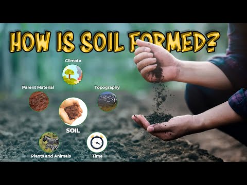 How is SOIL formed?