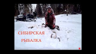 Рыбалка на иртыше в хмао 2020г