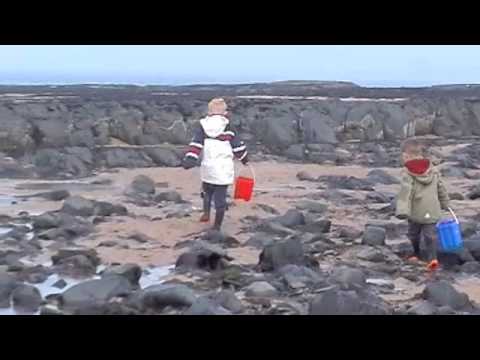 Go Folks, Go - Bonnie Prince Billy