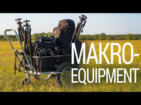 Was du für Makrofotografie wirklich brauchst – mein Alltags-Setup