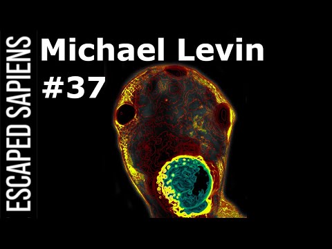 Hacking The Blueprint Of Life | Michael Levin | Escaped Sapiens #37