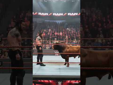 Roman Reigns stares down the Bull 🐂👑Tension fills the ring!🔥#RomanReigns #TheBull #FaceOff #WWEHeat