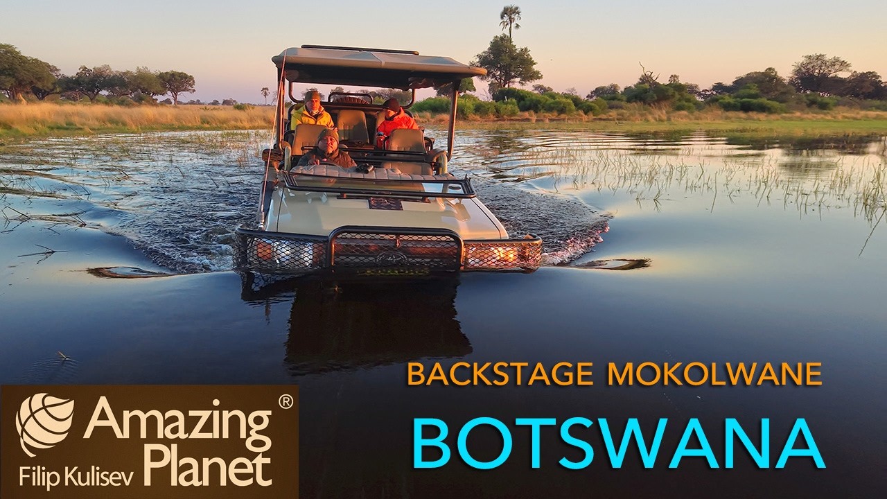 BACKSTAGE Mokolwane safari, Botswana: Amazing Planet (4K) 2026