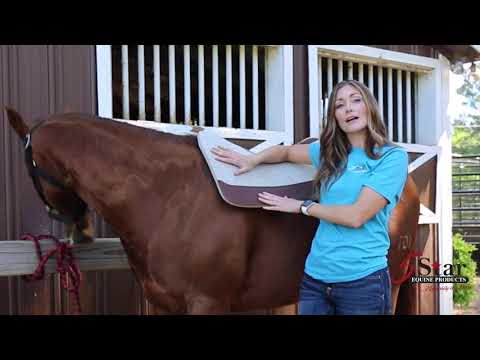 5 Star Pad wither options